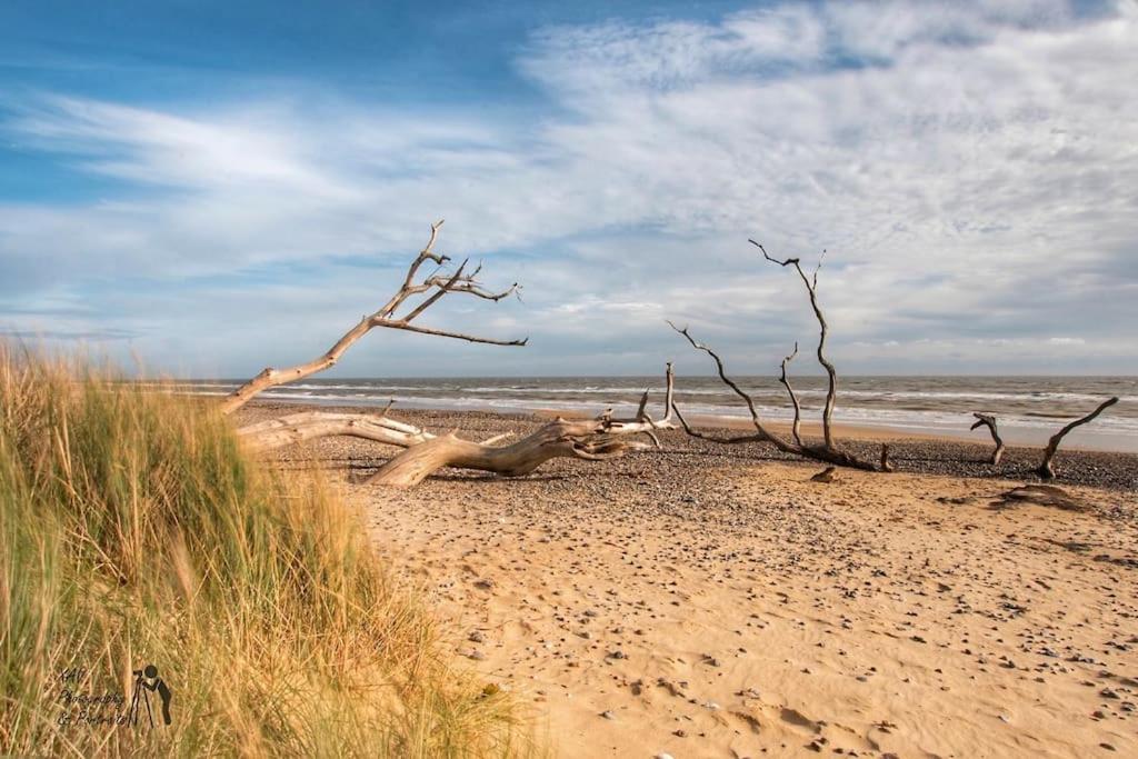 Covehithe House-Coastal Luxury- Sleeps 12-With Huge Swimspa! Wrentham Екстериор снимка